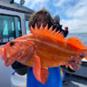 Meet your Posher, Alex